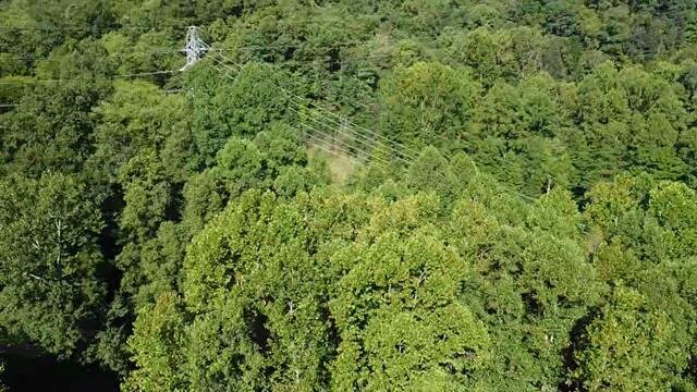 Image for SOLD - Nearly 300 Acres in Fayette County Selling to the Highest Bidder