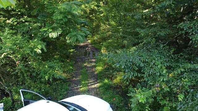 Image for SOLD - Nearly 300 Acres in Fayette County Selling to the Highest Bidder