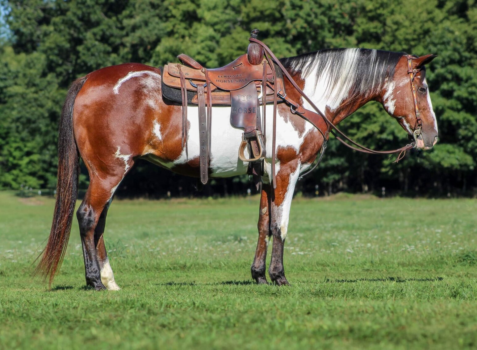 Image for KS Select Fall Sale - Clarion, Pennsylvania - SATURDAY September 16th
