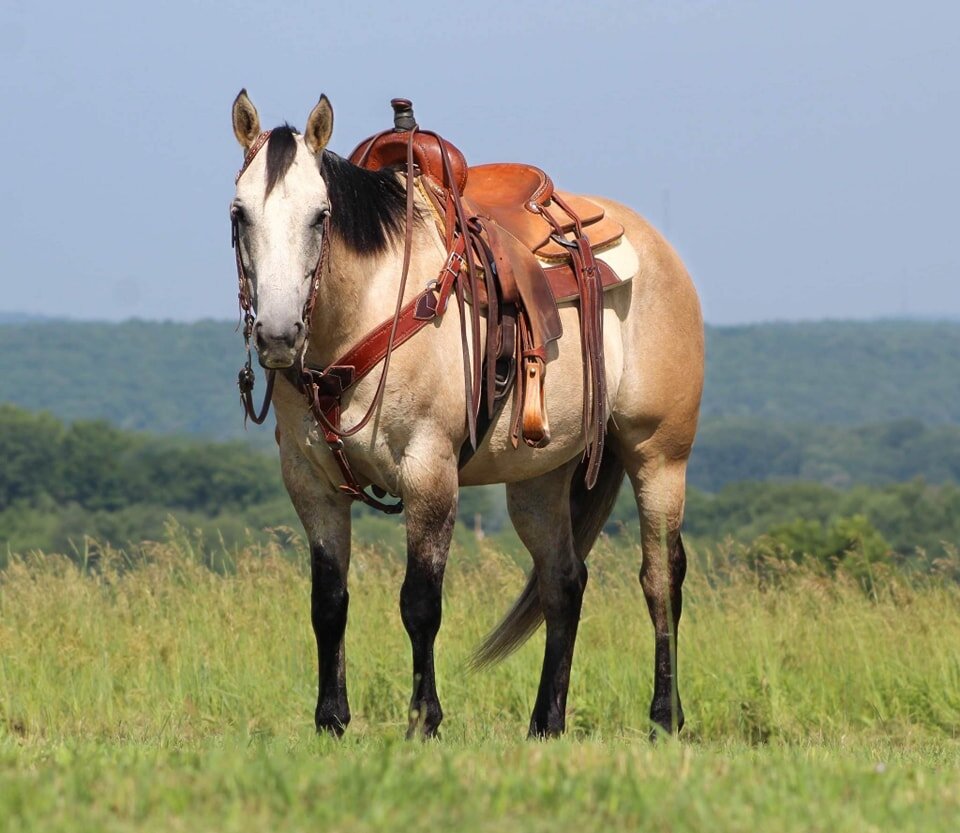 Image for KS Select Fall Sale - Clarion, Pennsylvania - SATURDAY September 16th