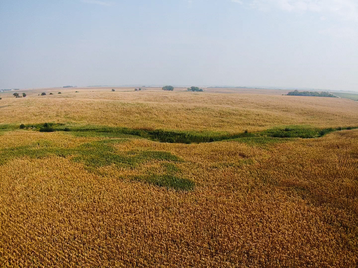 Image for Absolute Jefferson County Farmland Auction by the Schaardt Auction Team with Burrows Tracts Real Estate