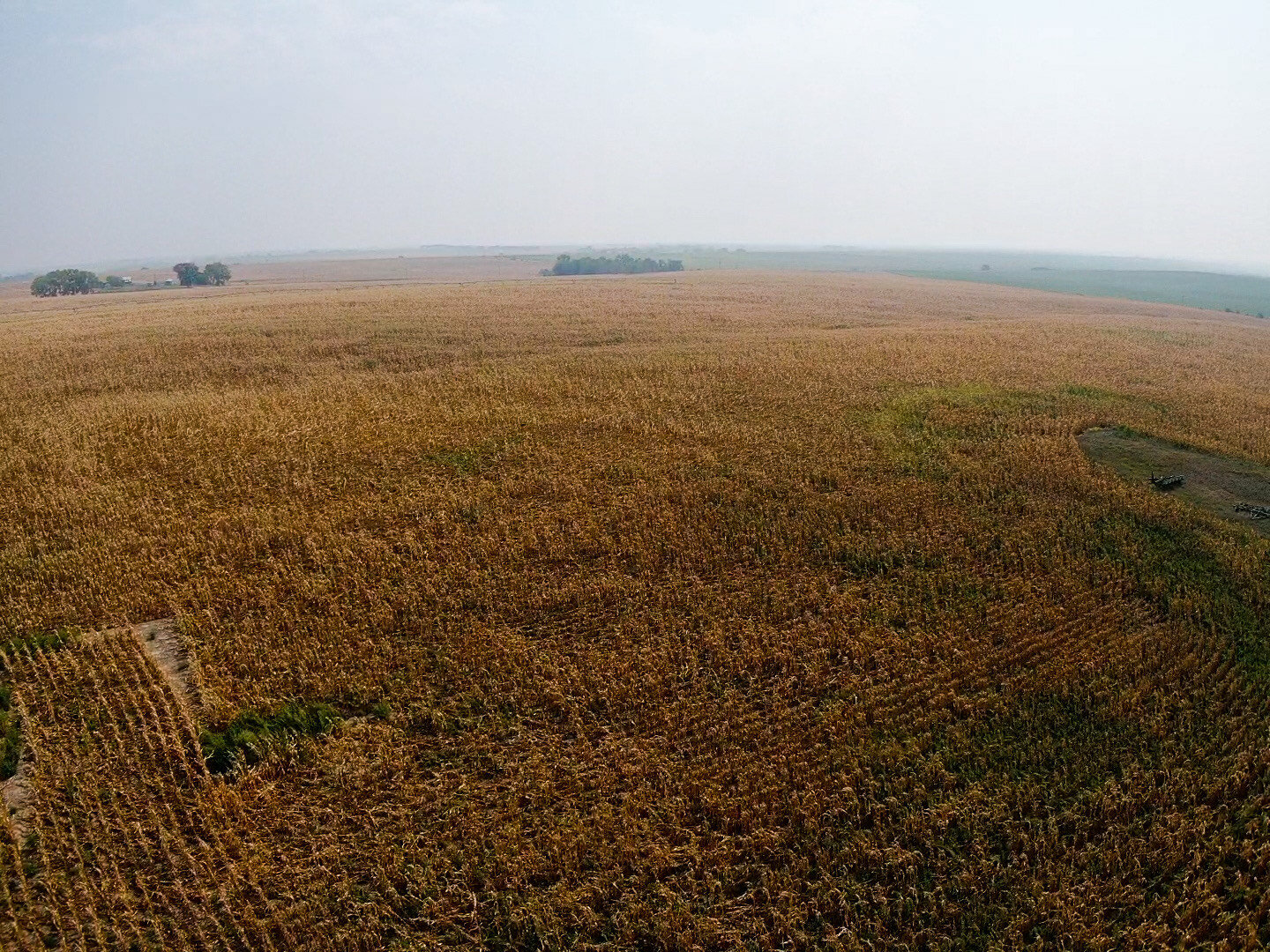 Image for Absolute Jefferson County Farmland Auction by the Schaardt Auction Team with Burrows Tracts Real Estate