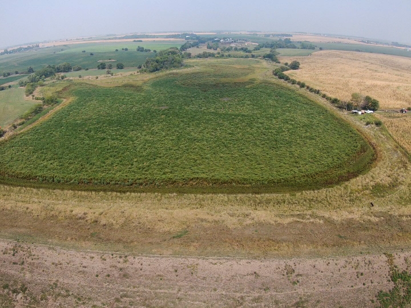 Image for Absolute Jefferson County Farmland Auction by the Schaardt Auction Team with Burrows Tracts Real Estate