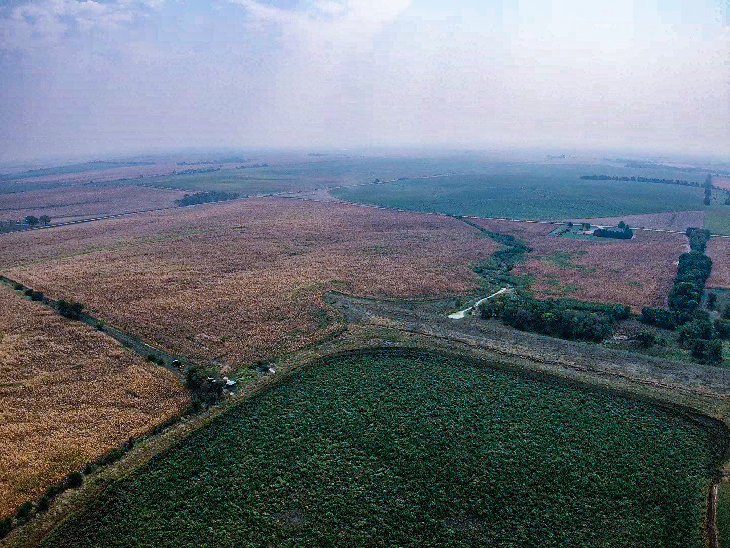 Image for Absolute Jefferson County Farmland Auction by the Schaardt Auction Team with Burrows Tracts Real Estate