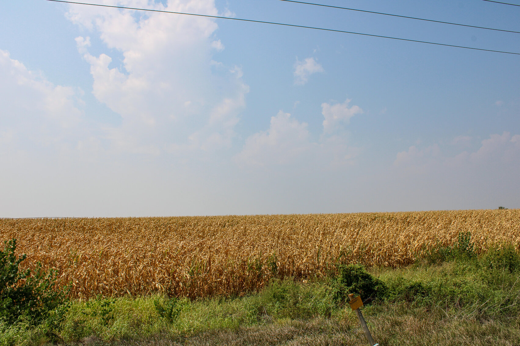 Image for Absolute Jefferson County Farmland Auction by the Schaardt Auction Team with Burrows Tracts Real Estate