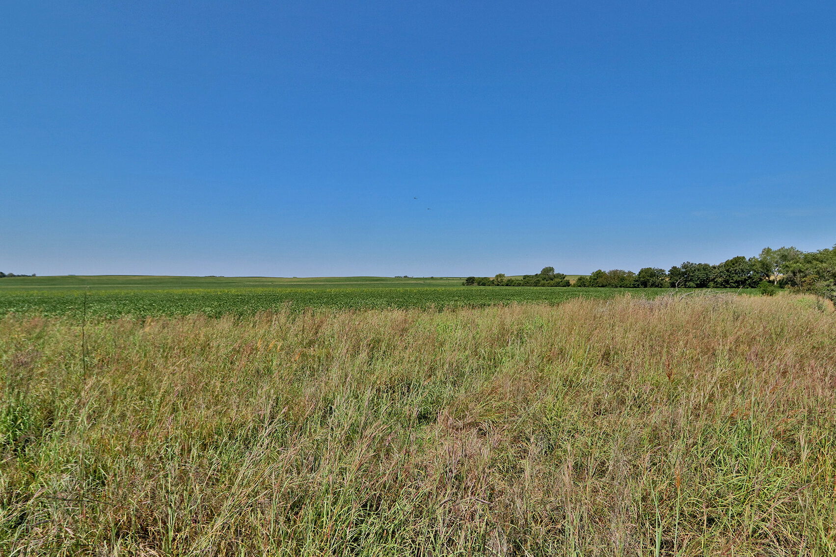 Image for Vrtiska Family Farms Land Auction - Pawnee County by the Schaardt Auction Team with Burrows Tracts Real Estate