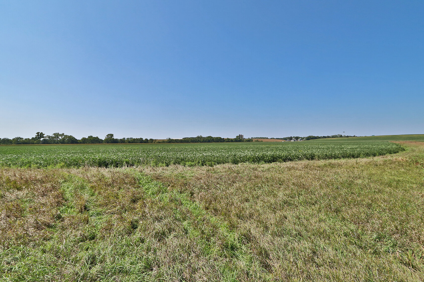 Image for Vrtiska Family Farms Land Auction - Pawnee County by the Schaardt Auction Team with Burrows Tracts Real Estate