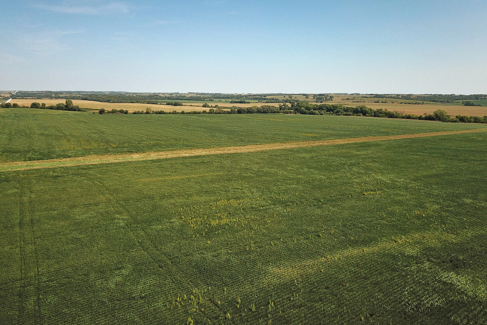 Image for Vrtiska Family Farms Land Auction - Pawnee County by the Schaardt Auction Team with Burrows Tracts Real Estate