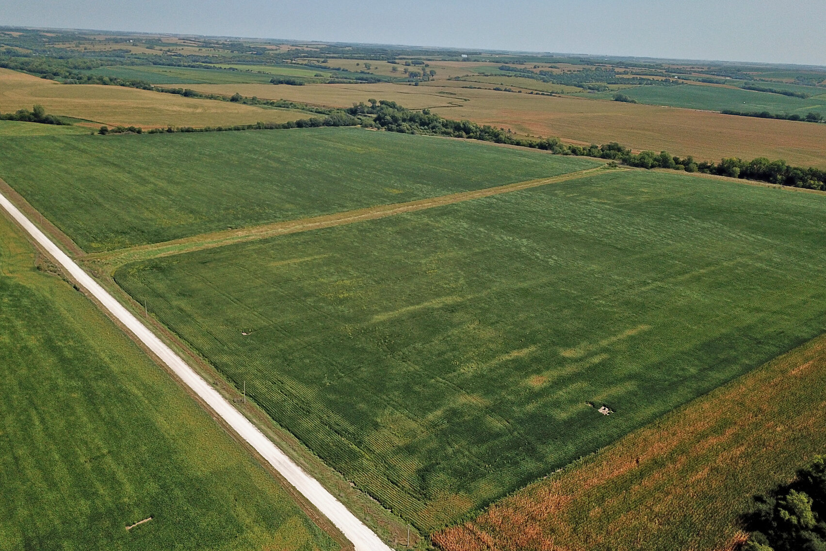 Image for Vrtiska Family Farms Land Auction - Pawnee County by the Schaardt Auction Team with Burrows Tracts Real Estate