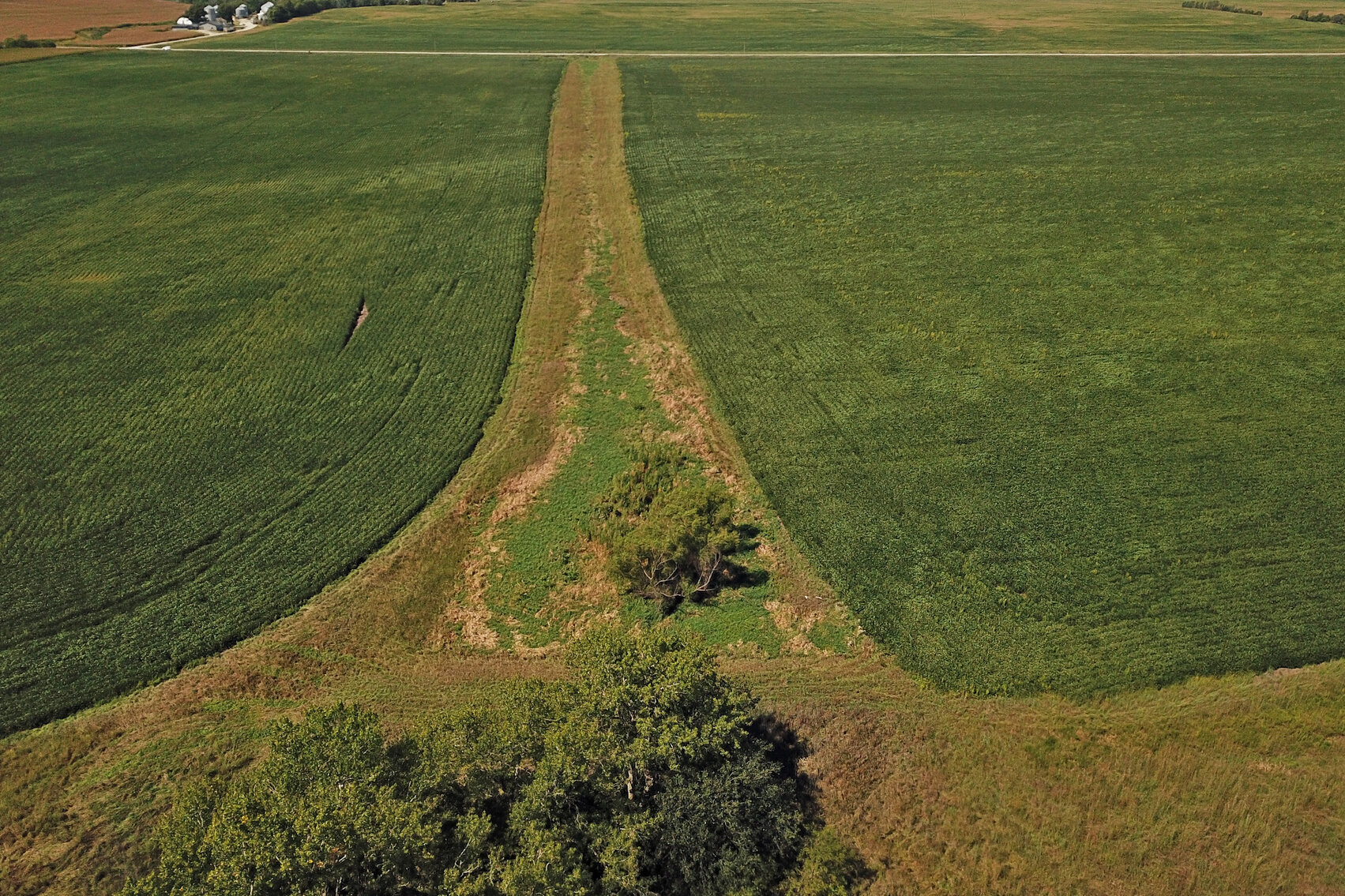 Image for Vrtiska Family Farms Land Auction - Pawnee County by the Schaardt Auction Team with Burrows Tracts Real Estate