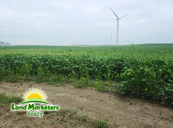 Image for 702.78+/- Deeded Acres East of Elgin, Nebraska in Antelope County