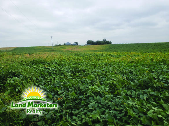 Image for 702.78+/- Deeded Acres East of Elgin, Nebraska in Antelope County