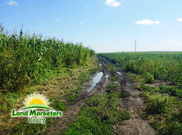 Image for 702.78+/- Deeded Acres East of Elgin, Nebraska in Antelope County