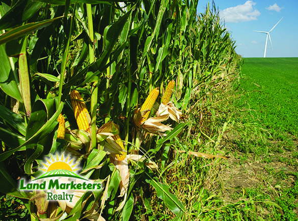 Image for 702.78+/- Deeded Acres East of Elgin, Nebraska in Antelope County