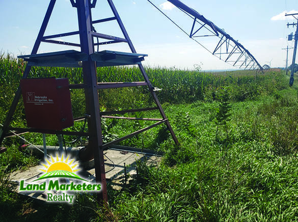 Image for 702.78+/- Deeded Acres East of Elgin, Nebraska in Antelope County