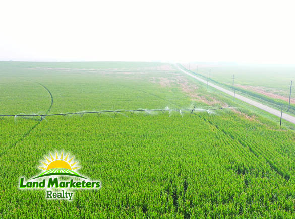 Image for 702.78+/- Deeded Acres East of Elgin, Nebraska in Antelope County