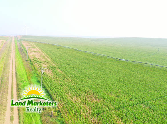 Image for 702.78+/- Deeded Acres East of Elgin, Nebraska in Antelope County