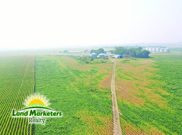 Image for 702.78+/- Deeded Acres East of Elgin, Nebraska in Antelope County