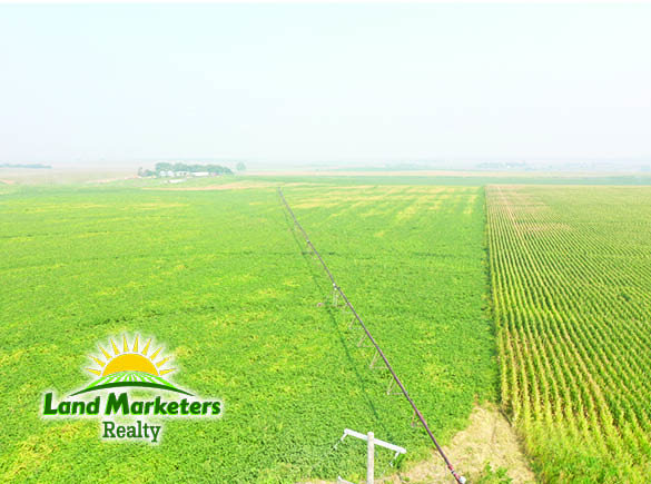 Image for 702.78+/- Deeded Acres East of Elgin, Nebraska in Antelope County