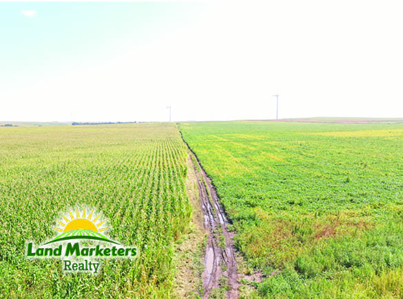 Image for 702.78+/- Deeded Acres East of Elgin, Nebraska in Antelope County