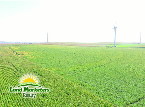 Image for 702.78+/- Deeded Acres East of Elgin, Nebraska in Antelope County