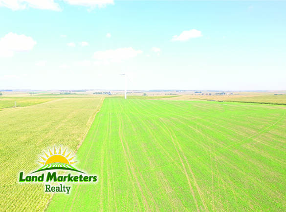 Image for 702.78+/- Deeded Acres East of Elgin, Nebraska in Antelope County