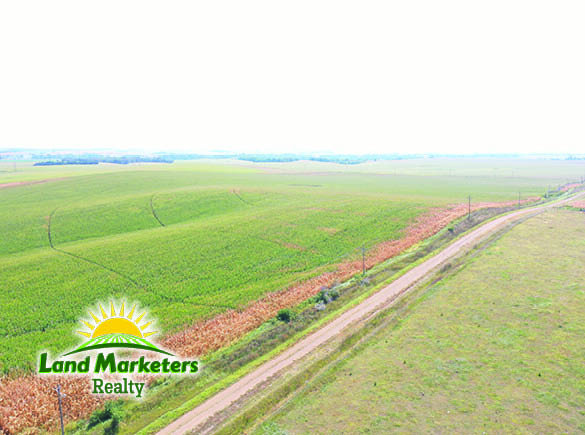 Image for 702.78+/- Deeded Acres East of Elgin, Nebraska in Antelope County