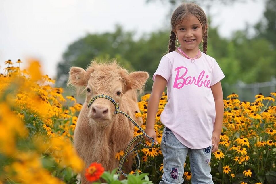 Image for KS Select Fall Sale - Clarion, Pennsylvania - SATURDAY September 16th