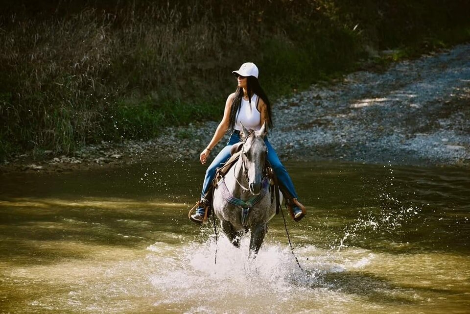 Image for KS Select Fall Sale - Clarion, Pennsylvania - SATURDAY September 16th