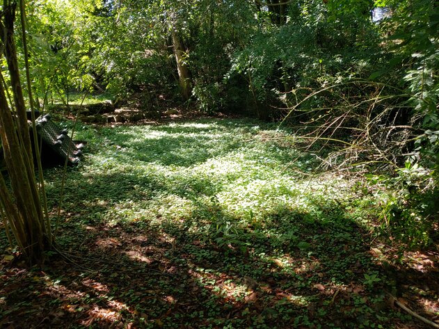 Image for 2840 Cardinal Lane