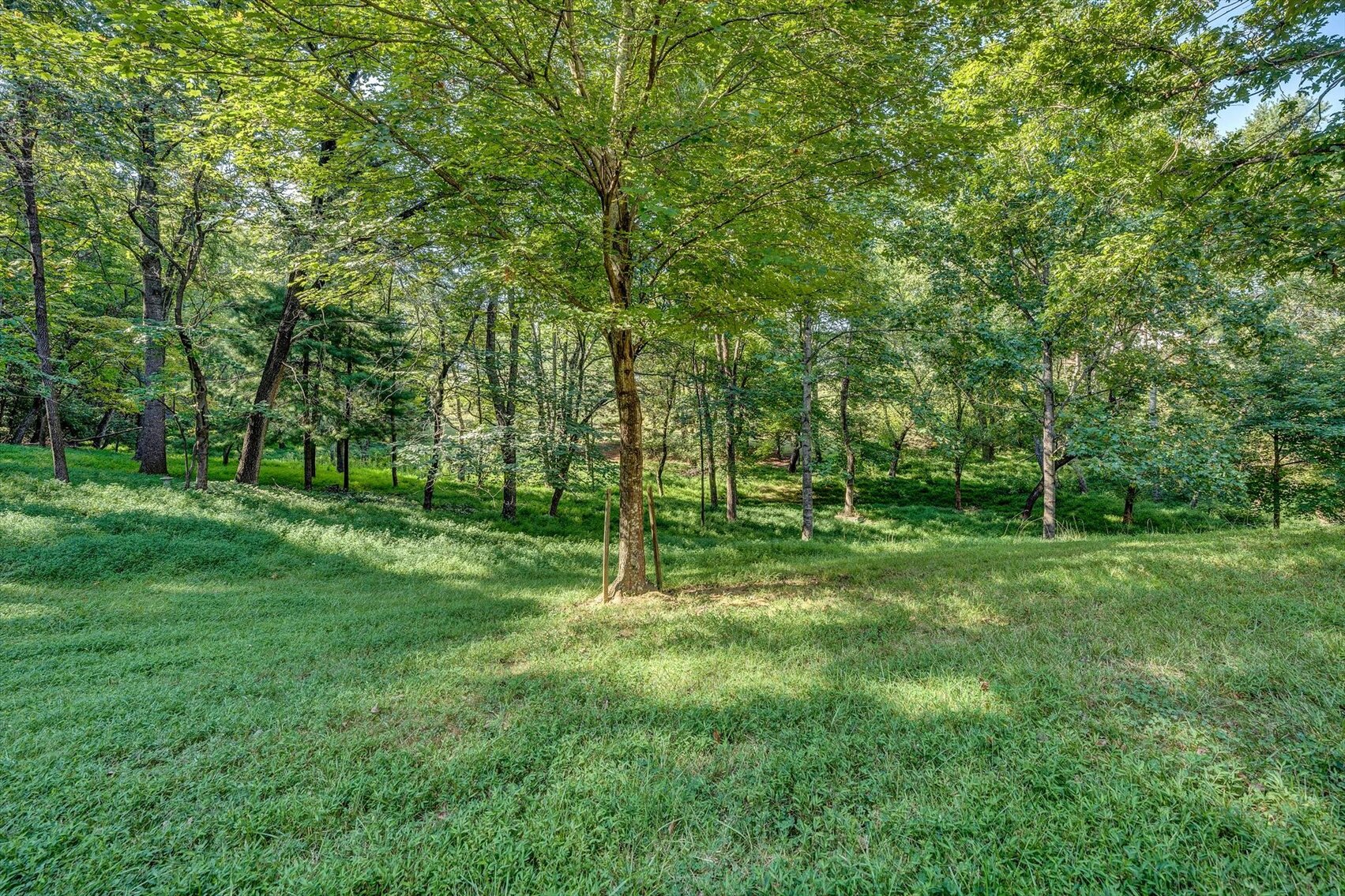 Image for 5437 Snow Owl Dr