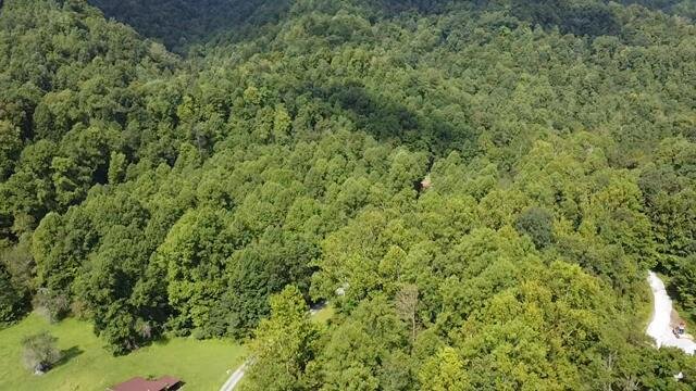 Image for SOLD $104,500 - 121 Acres in Wyoming County Selling to the Highest Bidder