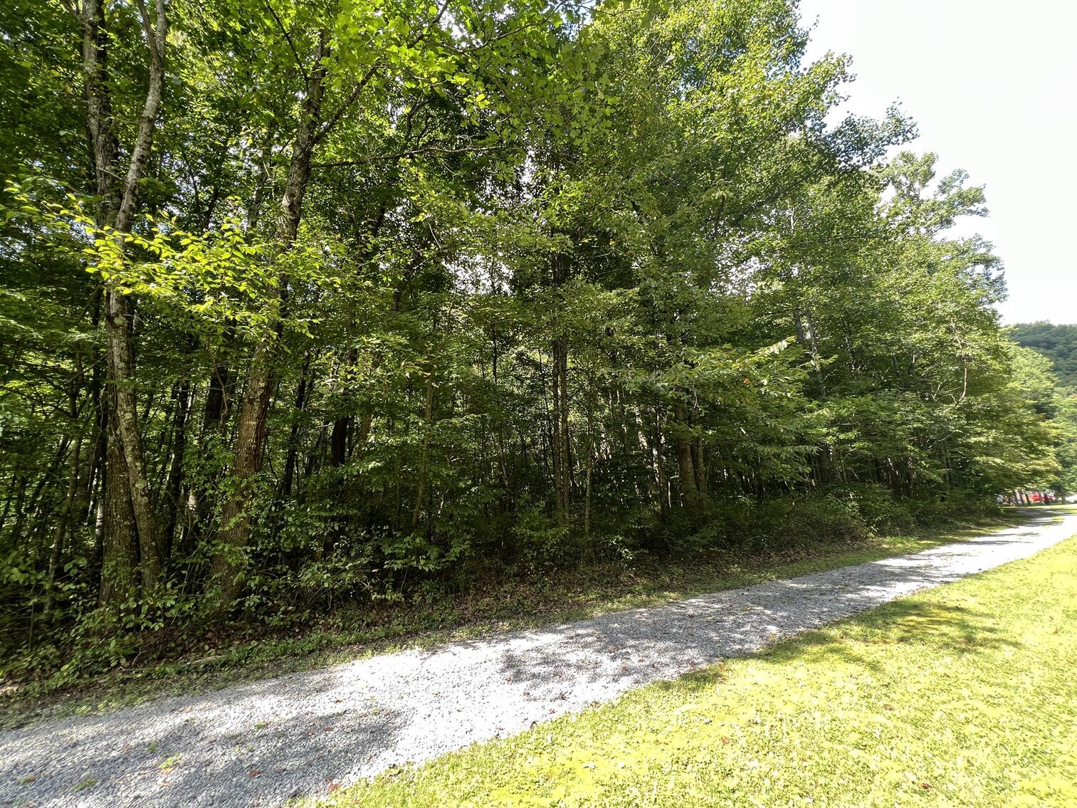 Image for SOLD $104,500 - 121 Acres in Wyoming County Selling to the Highest Bidder