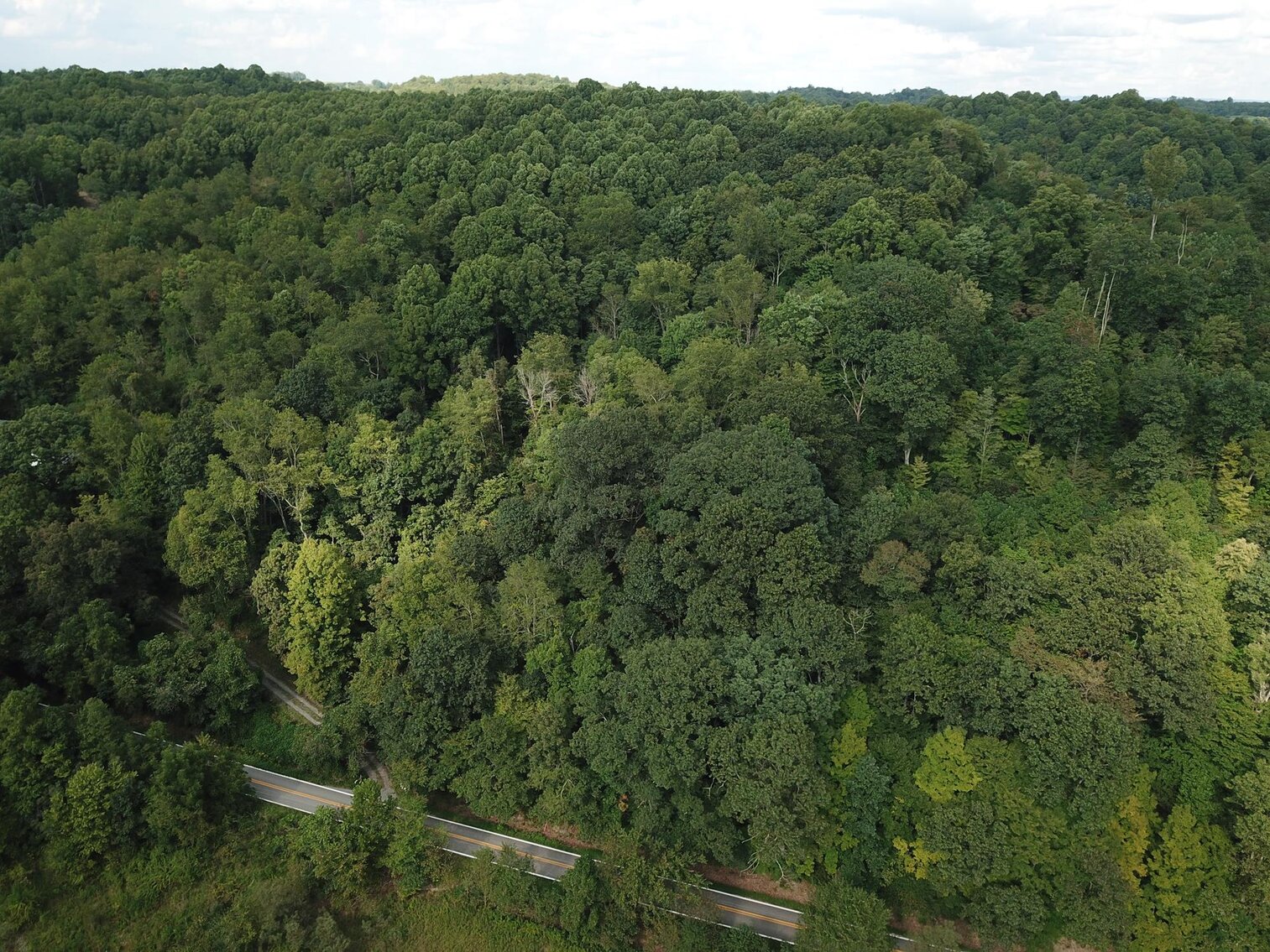 Image for SOLD $15,950 - 2 Acres on River Road in Morgantown