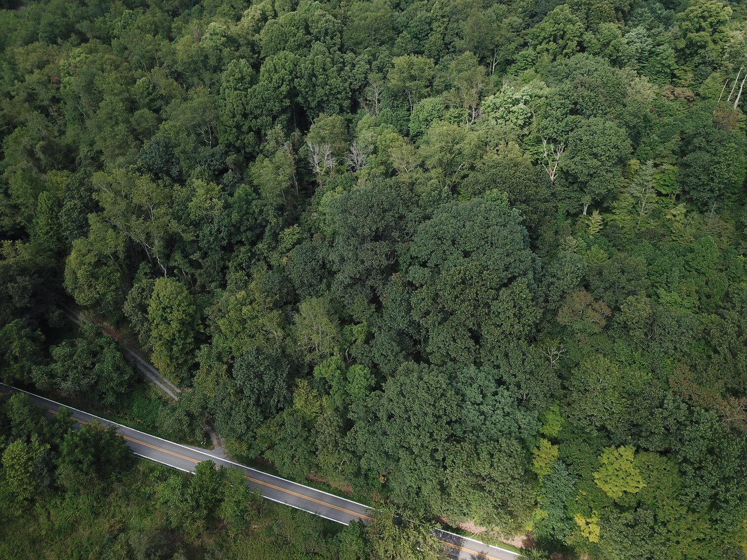 Image for SOLD $15,950 - 2 Acres on River Road in Morgantown