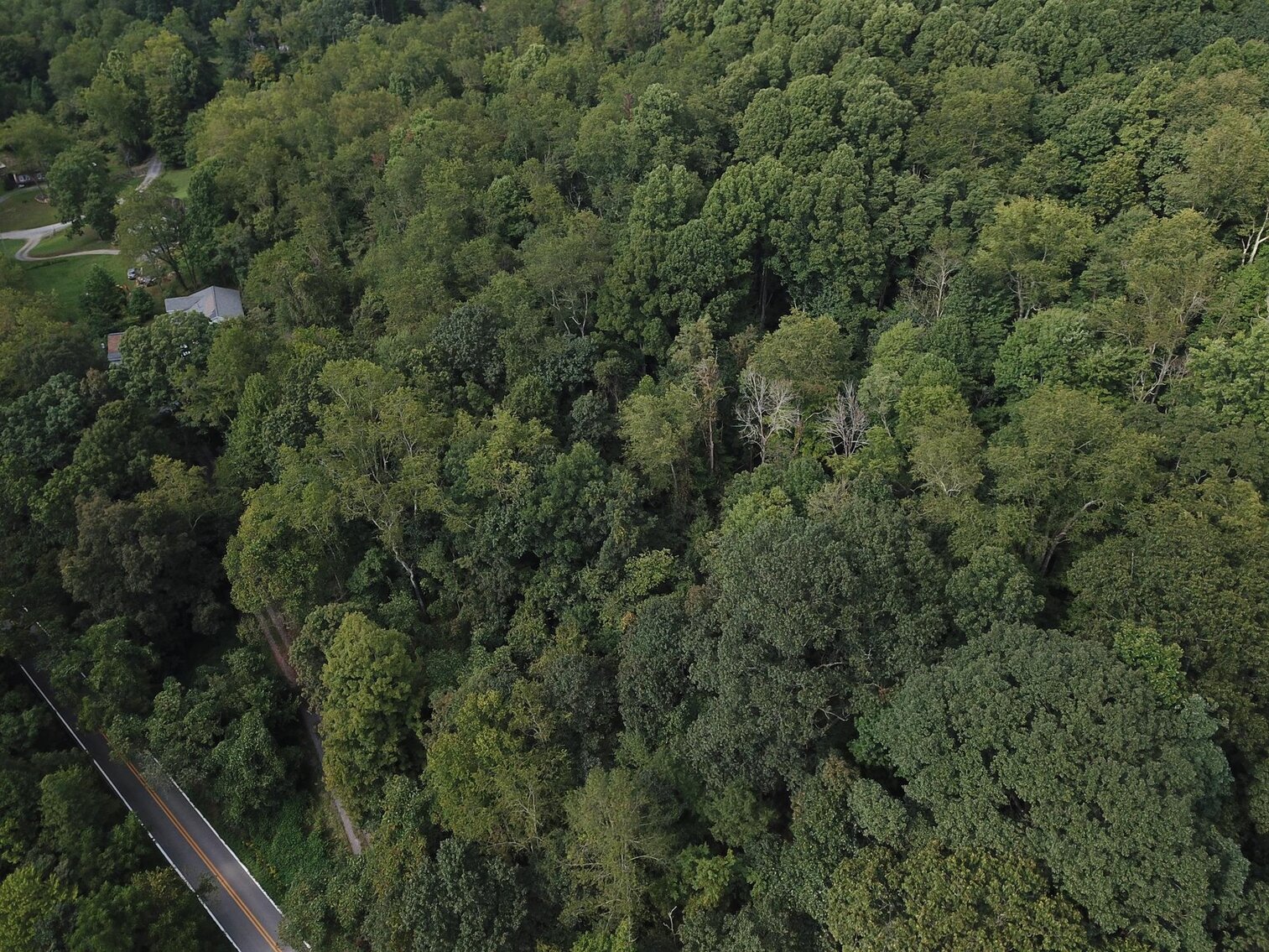 Image for SOLD $15,950 - 2 Acres on River Road in Morgantown