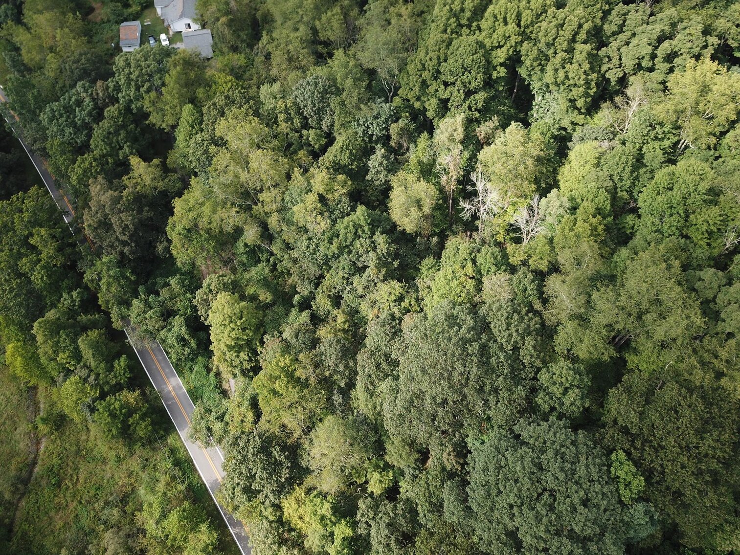 Image for SOLD $15,950 - 2 Acres on River Road in Morgantown