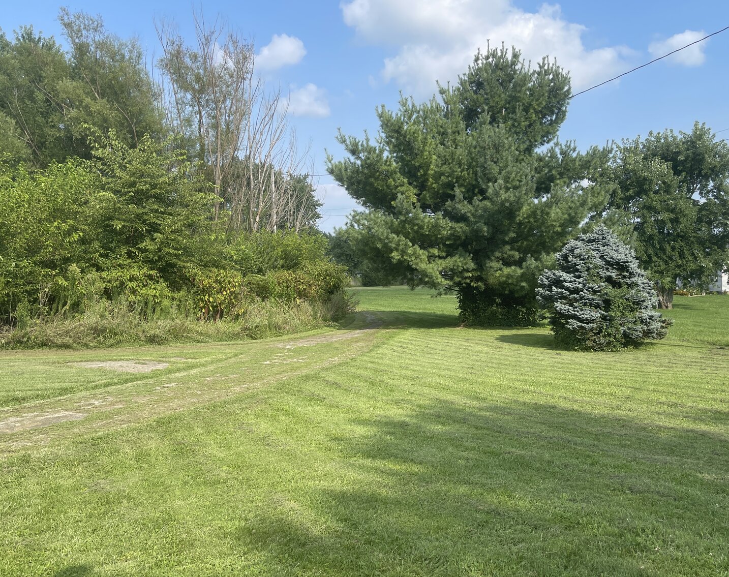 Image for 234 Jordan St. Reesville OH 45169