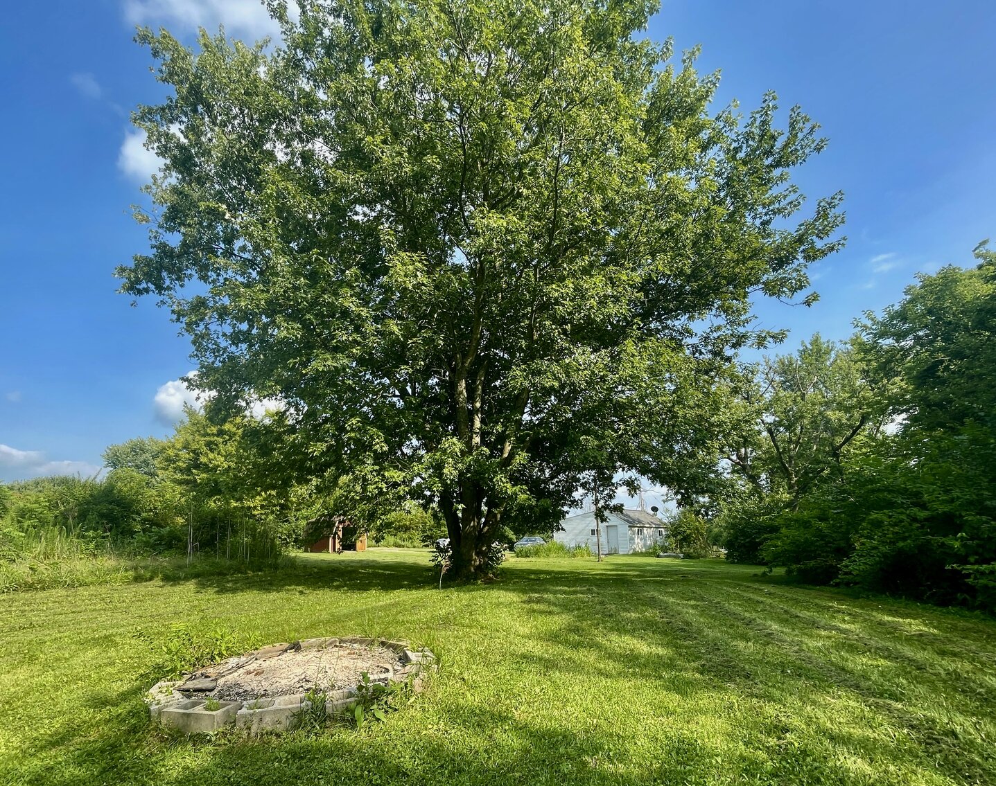 Image for 234 Jordan St. Reesville OH 45169