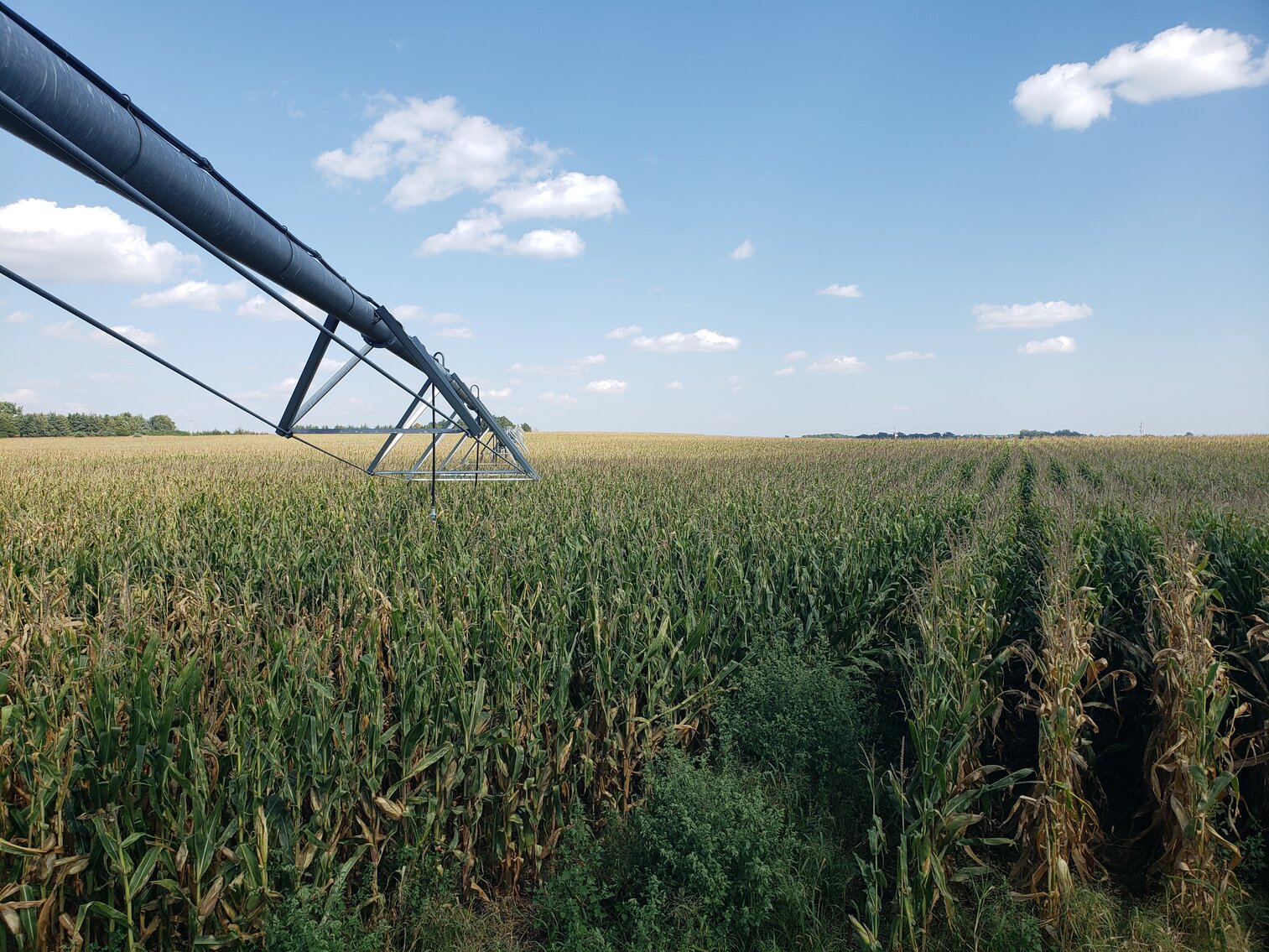 Image for 155.04 +/-Acres in Holt County, NE located West of Orchard, NE