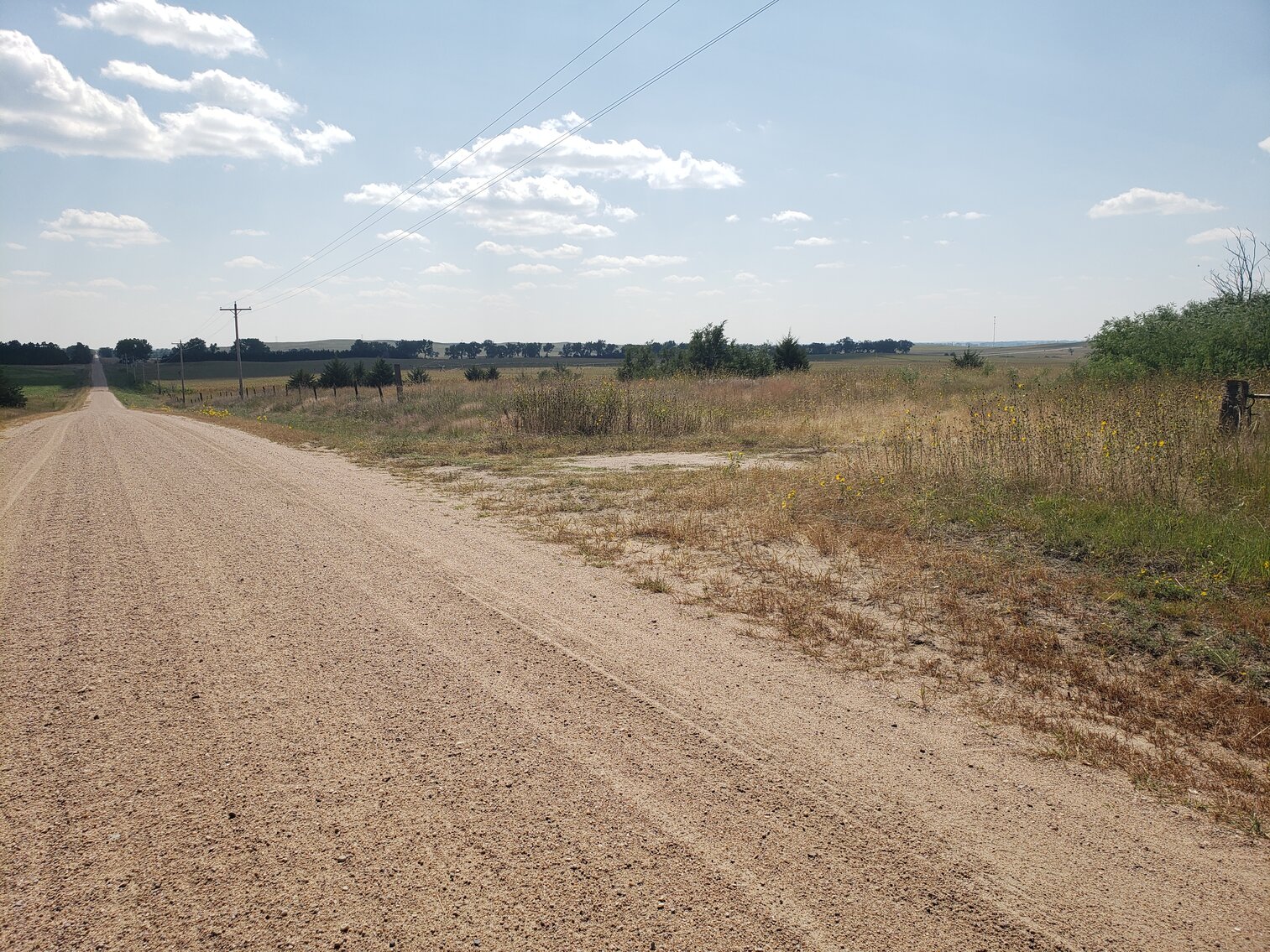 Image for 155.04 +/-Acres in Holt County, NE located West of Orchard, NE