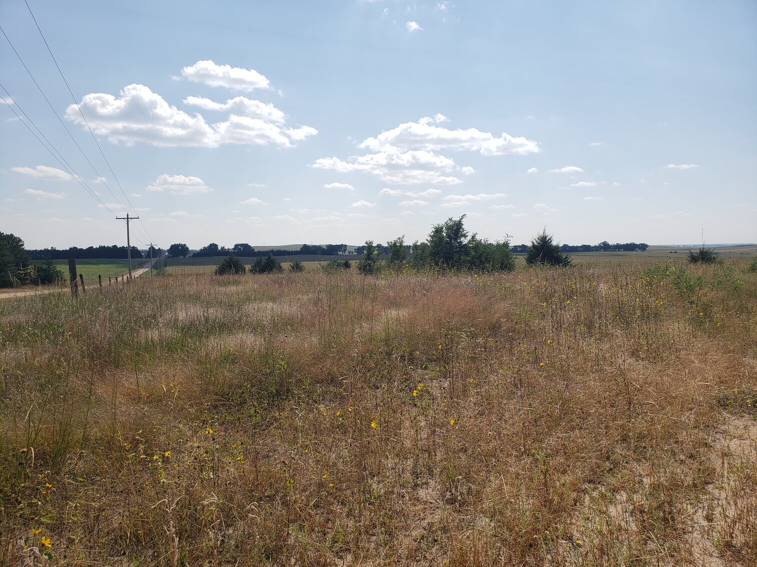 Image for 155.04 +/-Acres in Holt County, NE located West of Orchard, NE