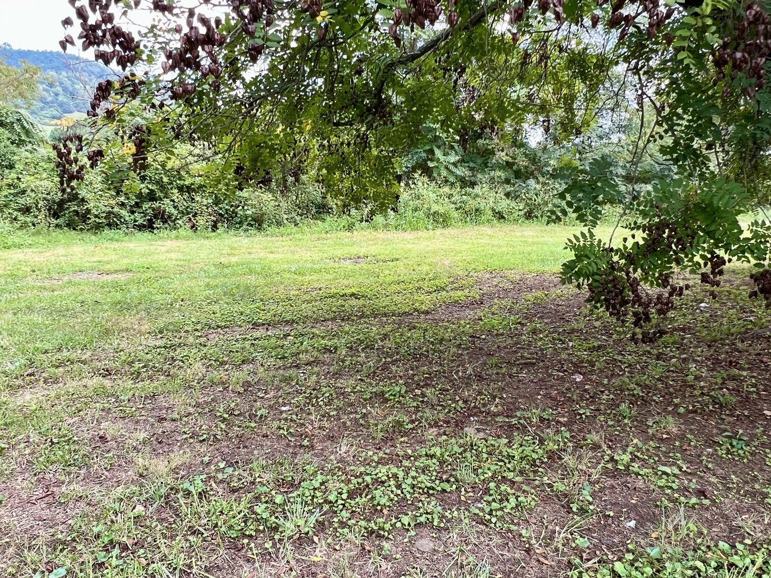 Image for 3 BR/2 BA Investment Property on .58 +/- Acres in Madison County, VA--SELLING to the HIGHEST BIDDER!!