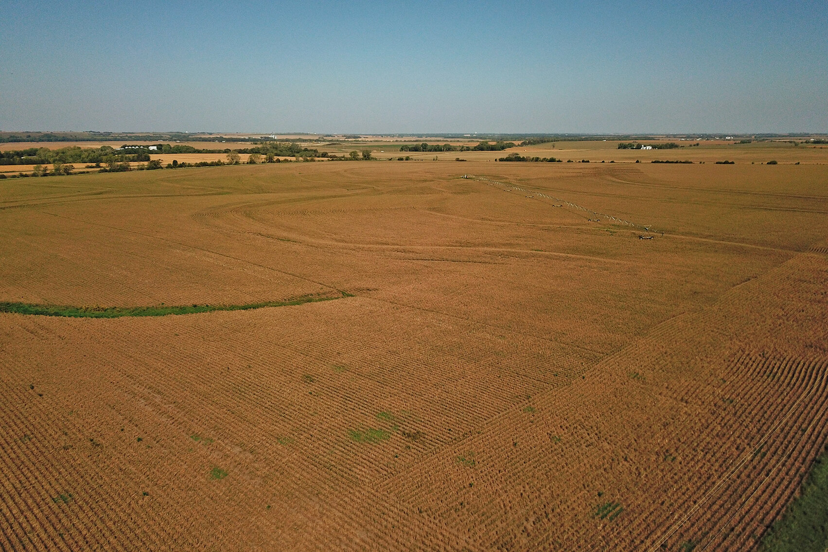 Image for Arlan Parde Auction, 146.75 acres Gage County Farm by Burrows Tracts Real Estate