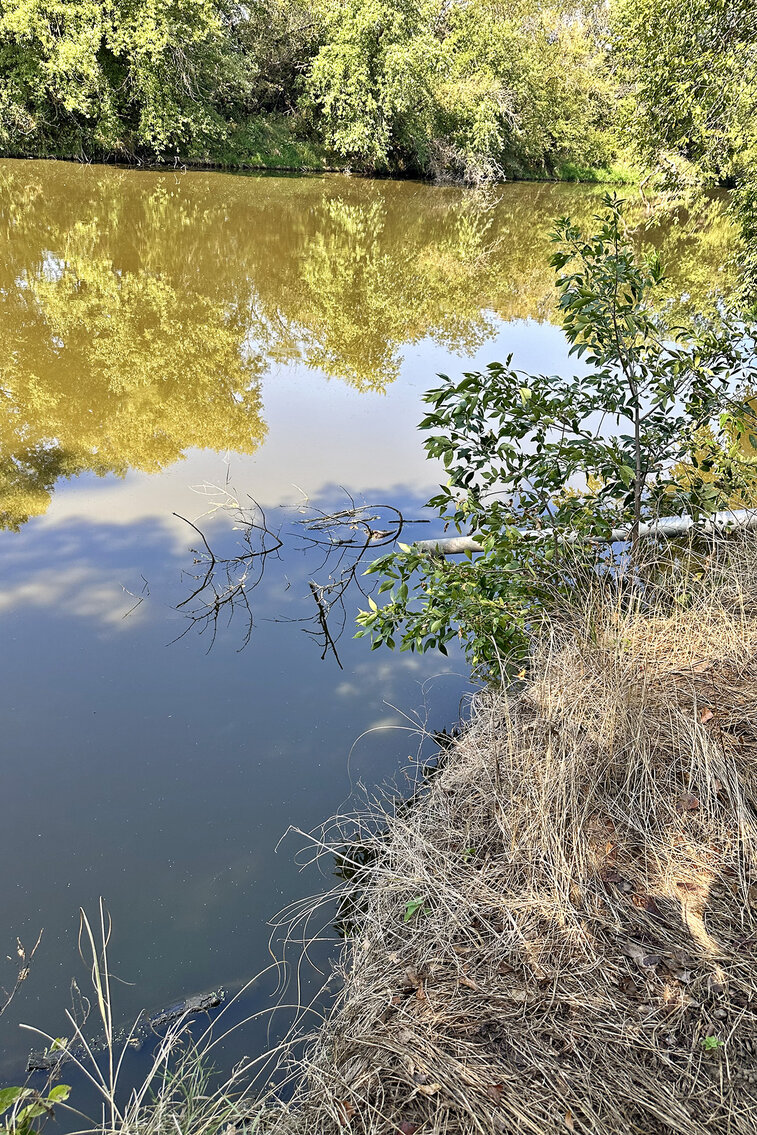 Image for Arlan Parde Auction, 146.75 acres Gage County Farm by Burrows Tracts Real Estate