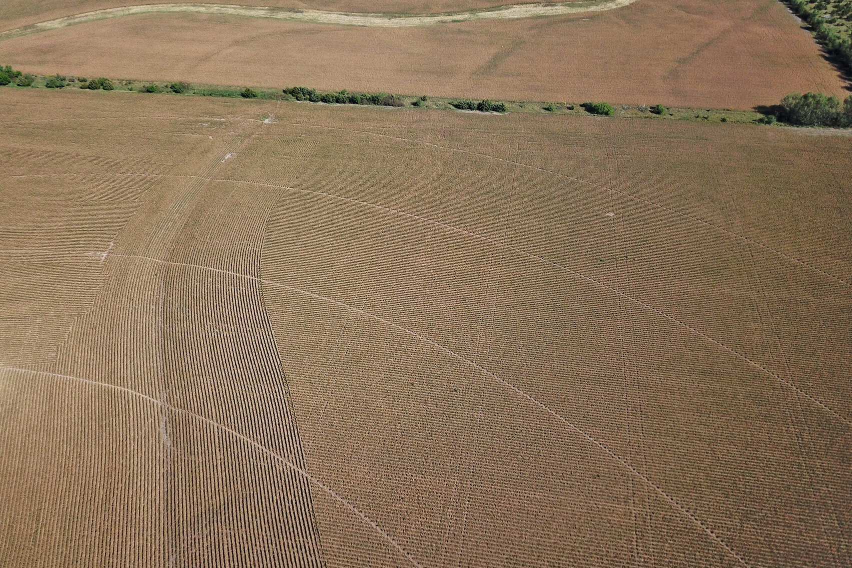 Image for Arlan Parde Auction, 146.75 acres Gage County Farm by Burrows Tracts Real Estate