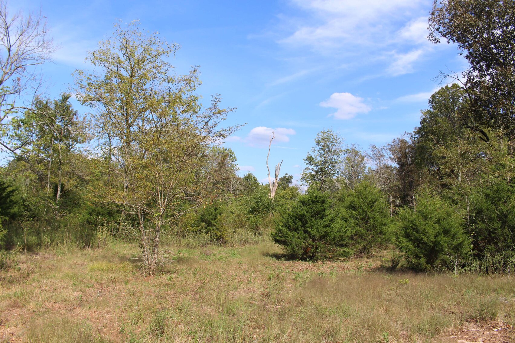 Image for 11239 Karo Road, Christiana