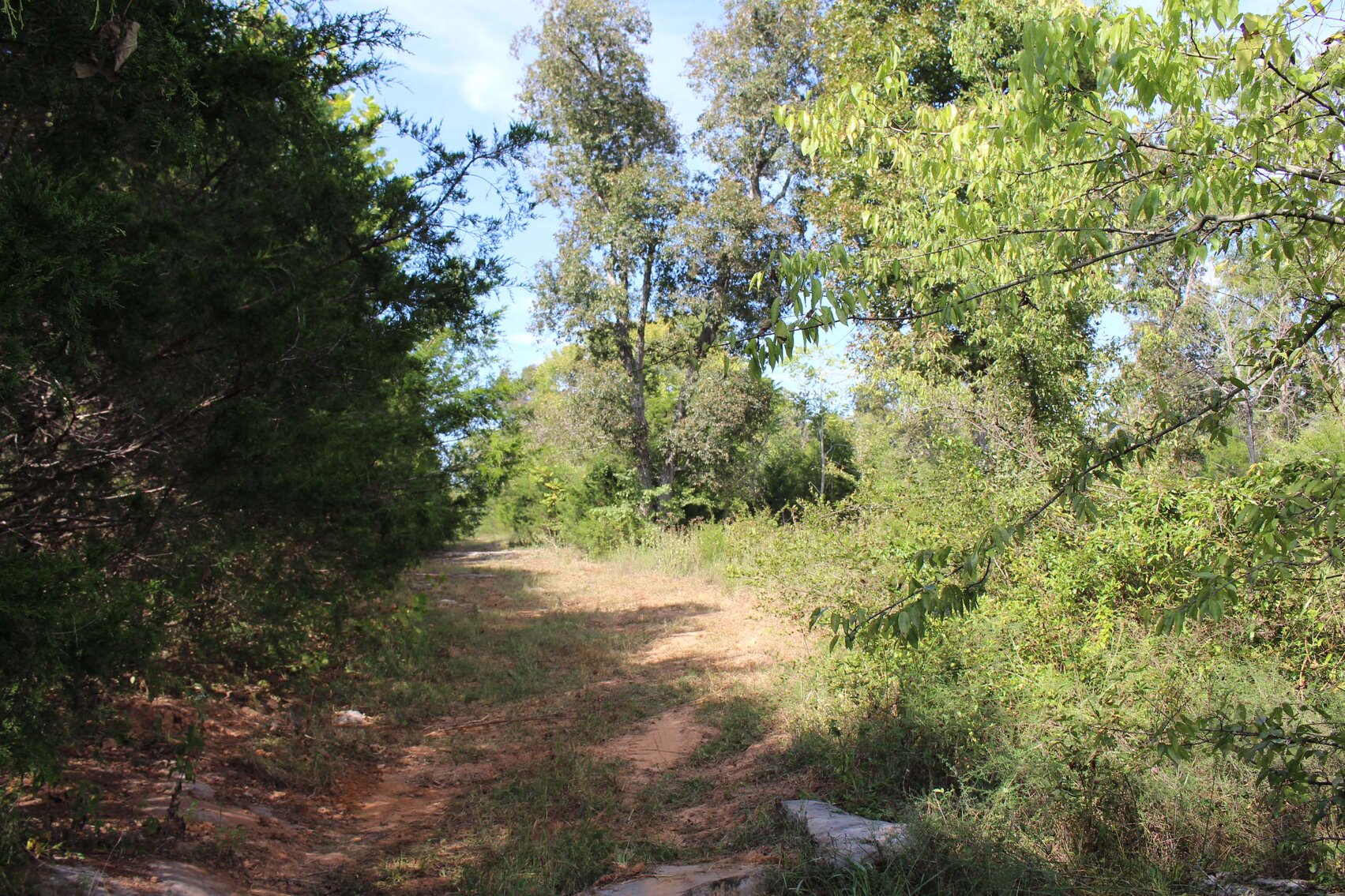 Image for 11239 Karo Road, Christiana