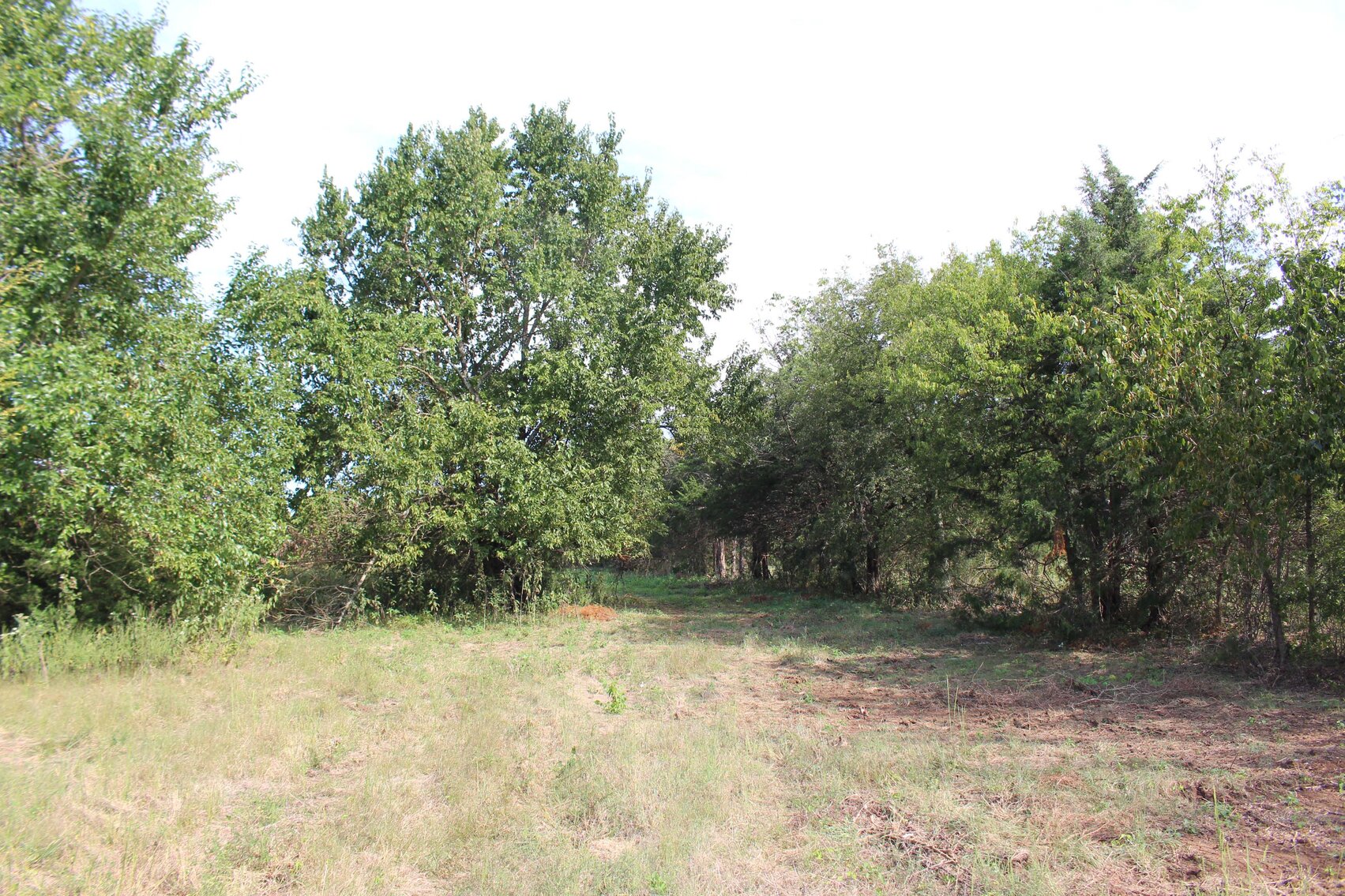 Image for 11239 Karo Road, Christiana