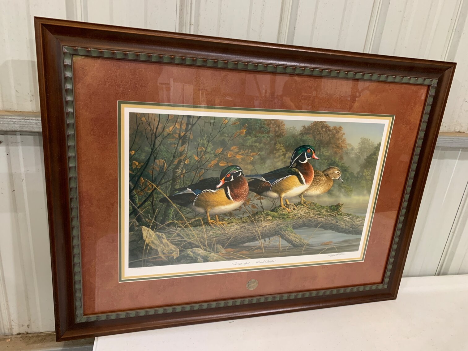 Secret Spot- Wood Ducks 